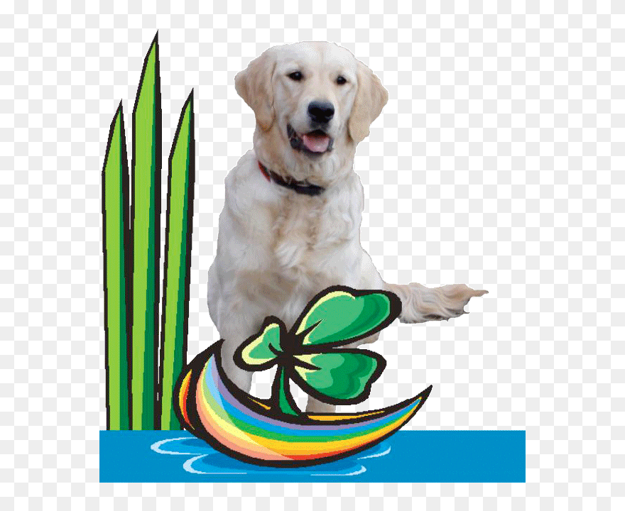 Golden Retriever Clipart