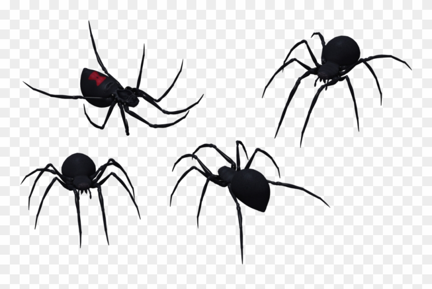Spider Clipart Tribal - Black Widow Spider Art - Png Download