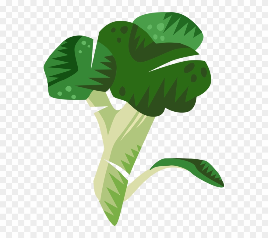 Broccoli Image Illustration Of Edible With Flowering - Vegetable Clipart