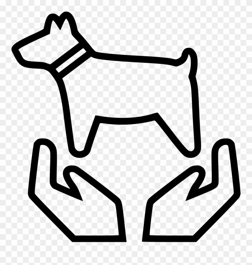 Pet Care Comments - Pet Icon White Png Clipart