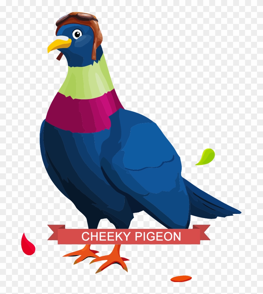 Personalise Cheeky Make It Personal - Domestic Pigeon Clipart