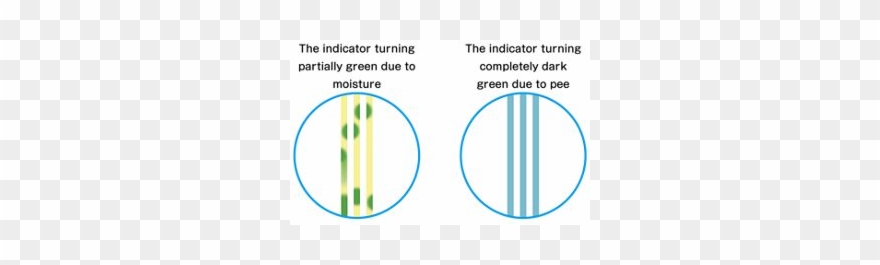 The Colour Change Does Not Affect The Quality Or Performance - Draw Clipart