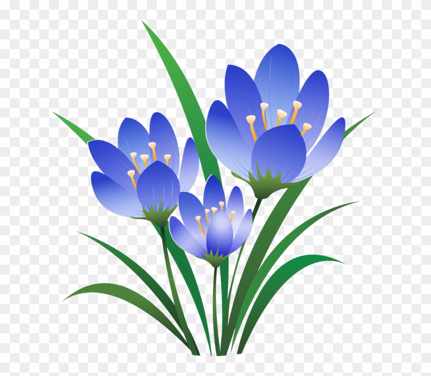 Художественные Фотографии, Роза, Смешение Цветов, Красивые - Quotes On Eid Ul Fitr Clipart