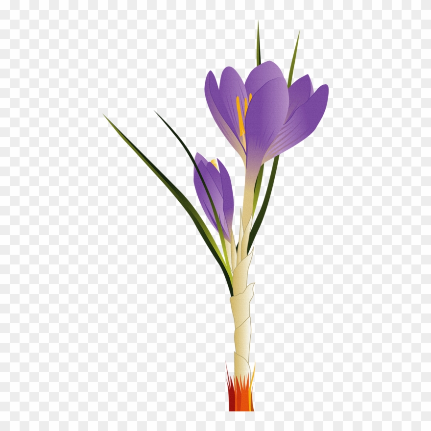 Image Freeuse Tulip Flower Clip Art - Flower Vector - Png Download