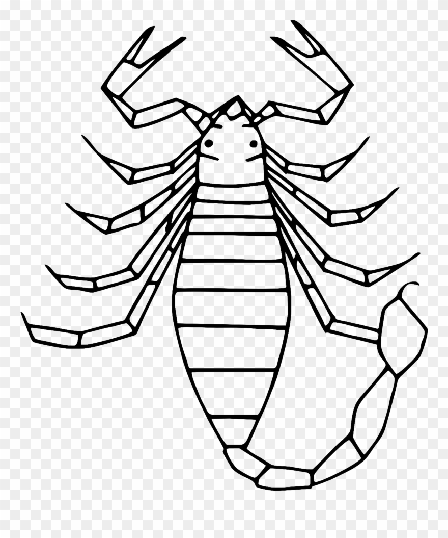 Pratt Pest Management Clipart