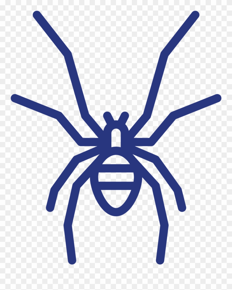 Download Your Spider Fact Sheet - Spider Clipart