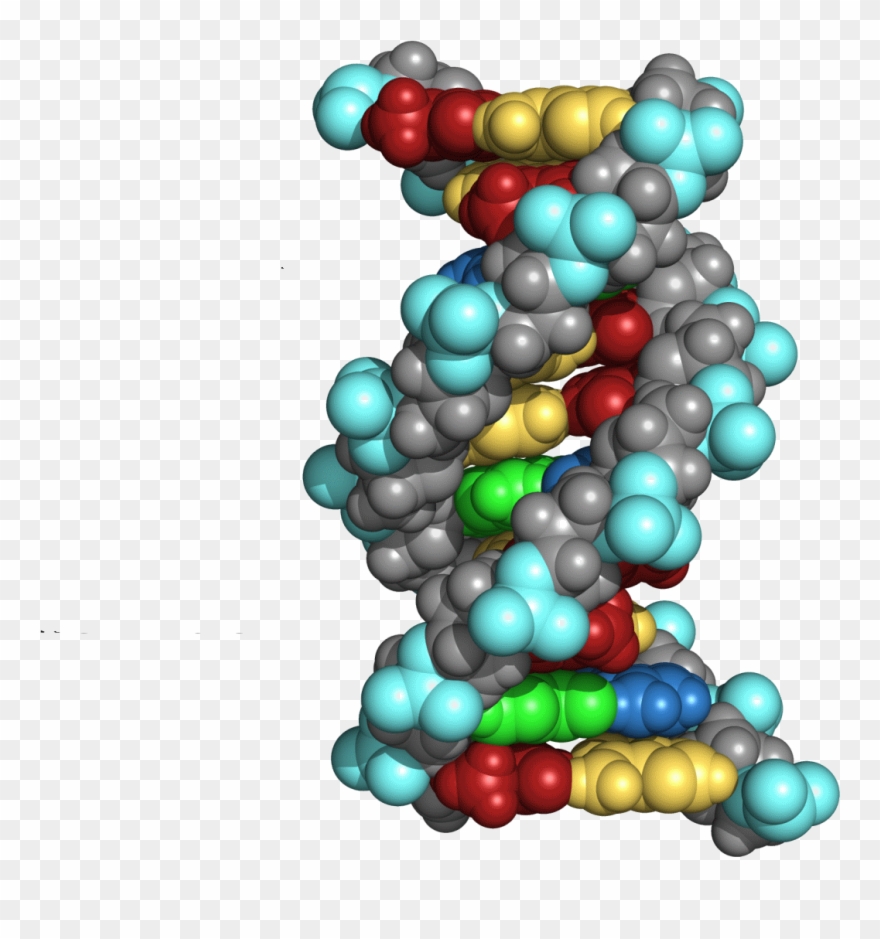 Breast Cancer Gene Illustration - Curso De Genética Molecular E Ingeniería Genética [book] Clipart