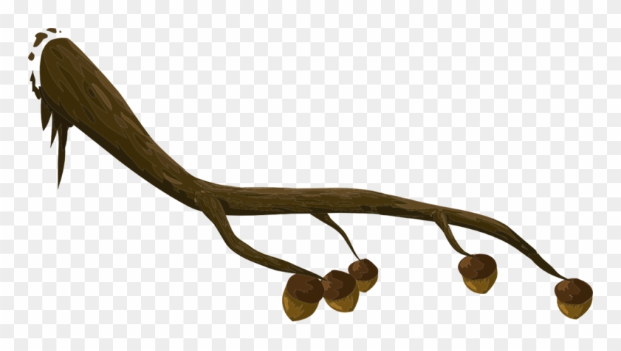 Free Acorn Branch Clip Art - Branch Clip Art - Png Download