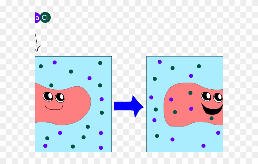 Meat Clipart Corn Beef - Png Download