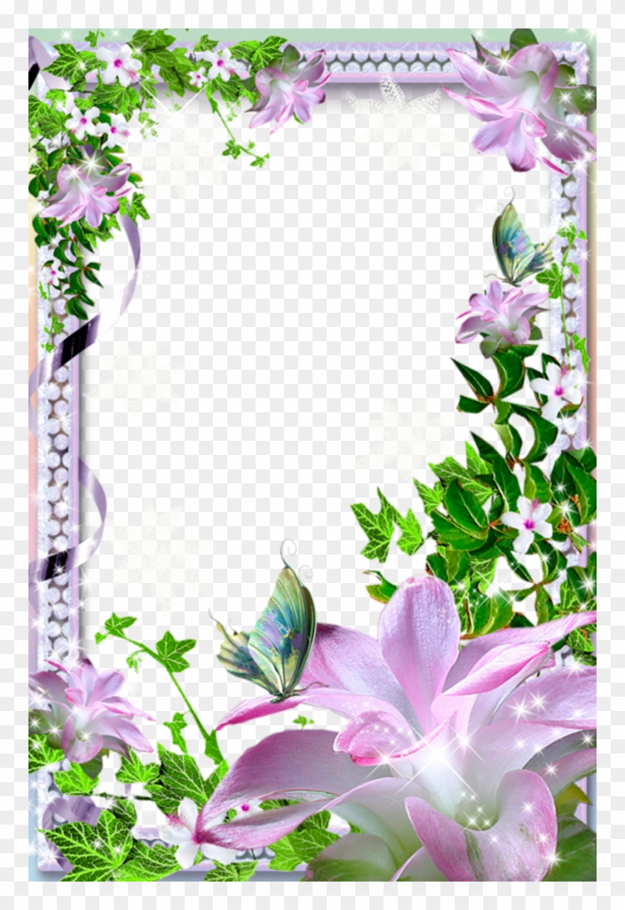 Beautiful Picture Frames Transparent Photo Frame With Clipart