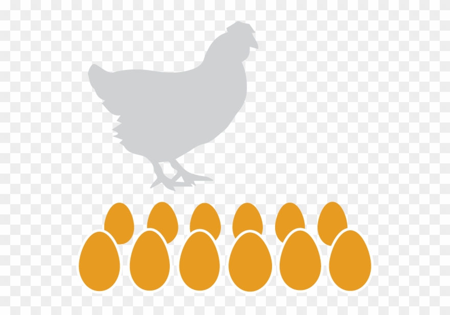 Eggs Dozen Clipart
