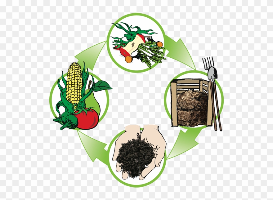 On March 6, At Garden Club We Will Be Learning About - Compost Cycle Clipart