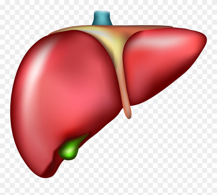 Jalapeno Clipart Drawn - Hepatitis B Clip Art - Png Download