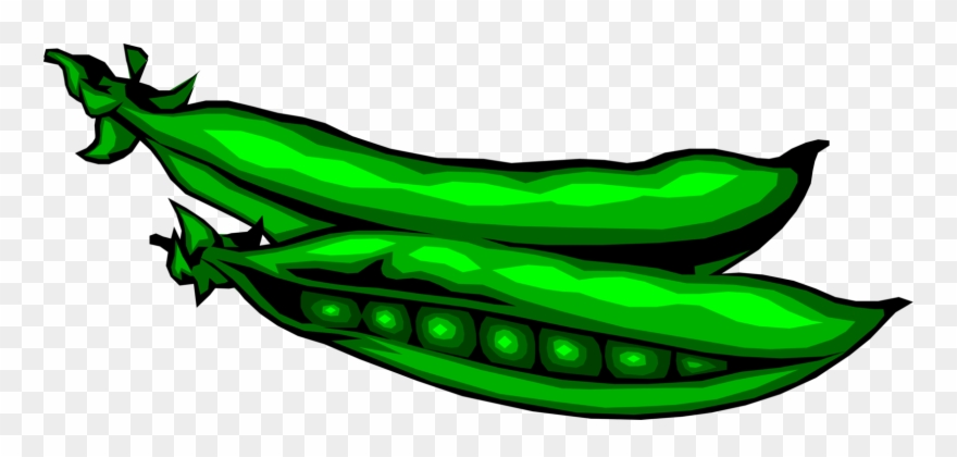 Green Peas Seed Pod Image Illustration Of Clipart