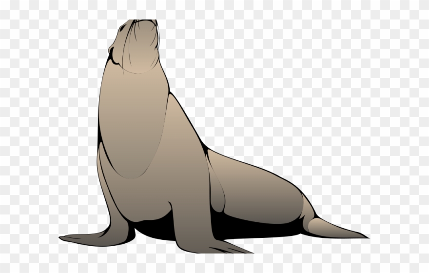 Seal Clipart Realistic - Free Seal Animal Vector - Png Download