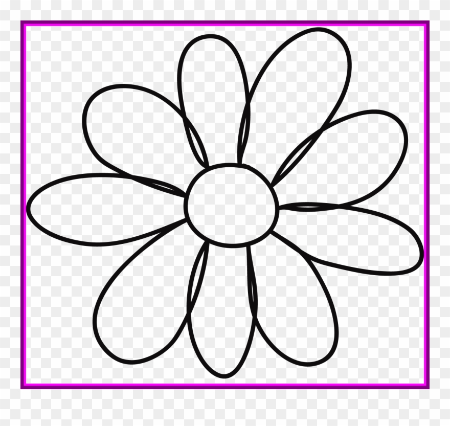 Hydrangea Clipart Outline - Png Download