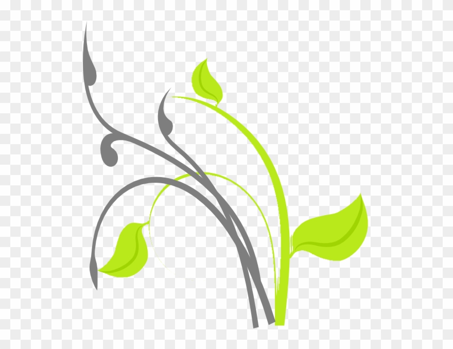 Vektor Daun Teh Clipart