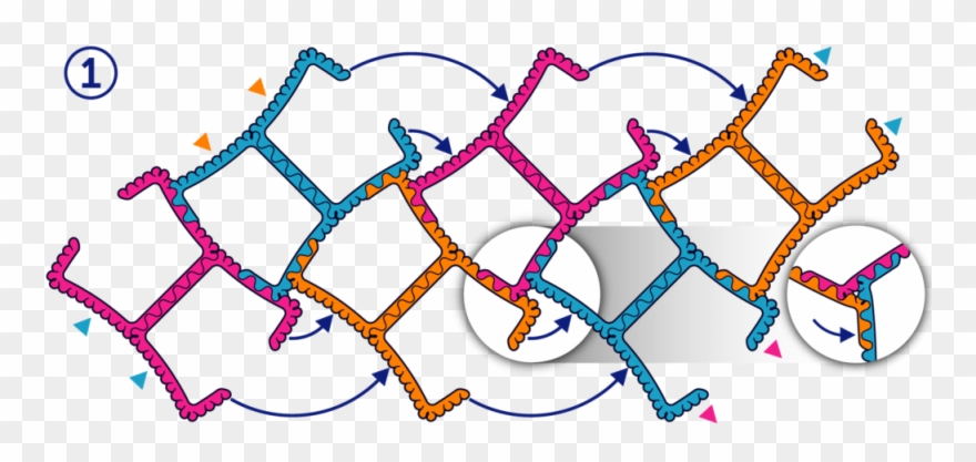 12 Stem Ball Step - Subculture Music Clipart