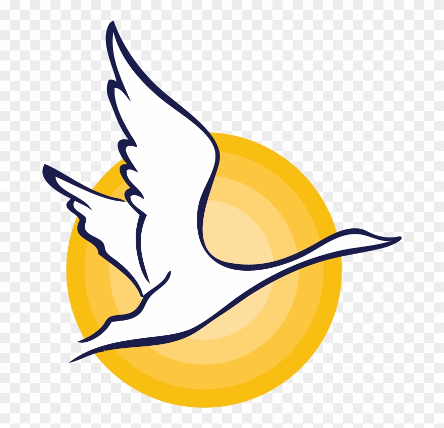 Fot Pic - White Swan Rice Clipart