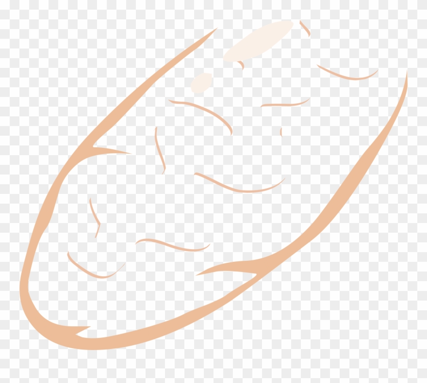 Clipart - Definition - Png Download