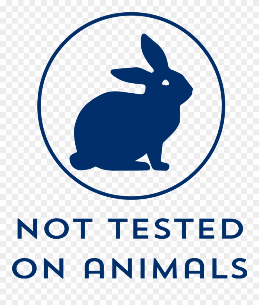 I've Formulated Each Happy Pet Product From A Combination - Domestic Rabbit Clipart
