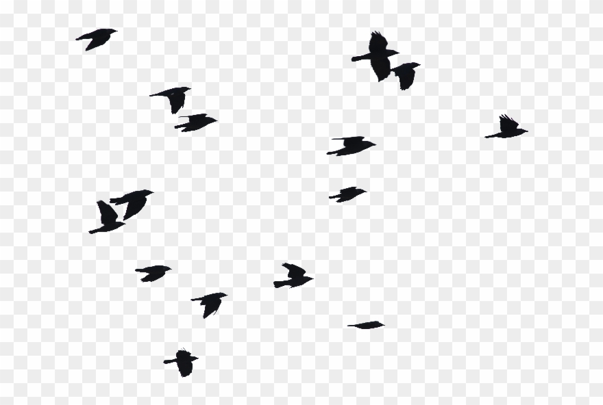 Birds In Flight Silhouette At Getdrawings Com - Birds Flying Silhouette Png Clipart