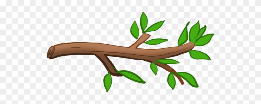 Module Lesson When Seeds - Stem Of A Plant Cliparts - Png Download