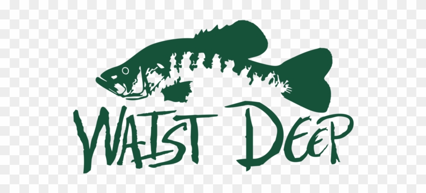 Crappie Decal Clipart