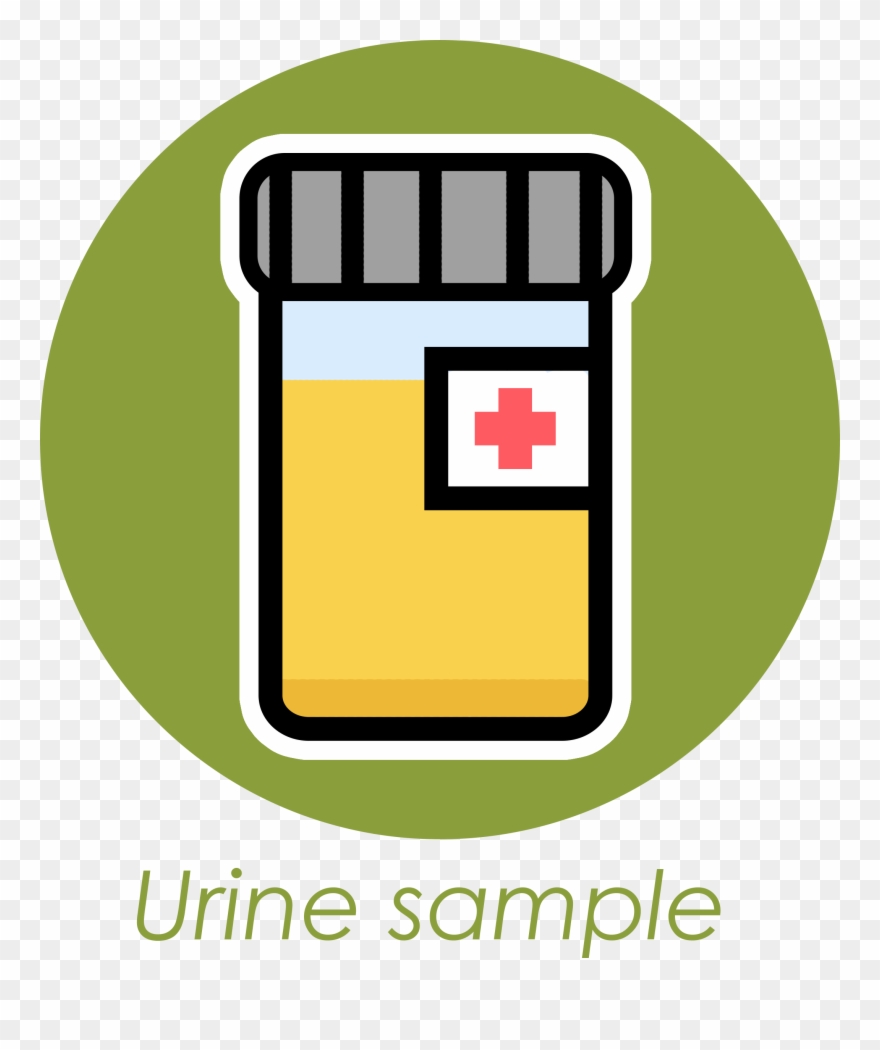 Urine Sample Clip Art - Png Download