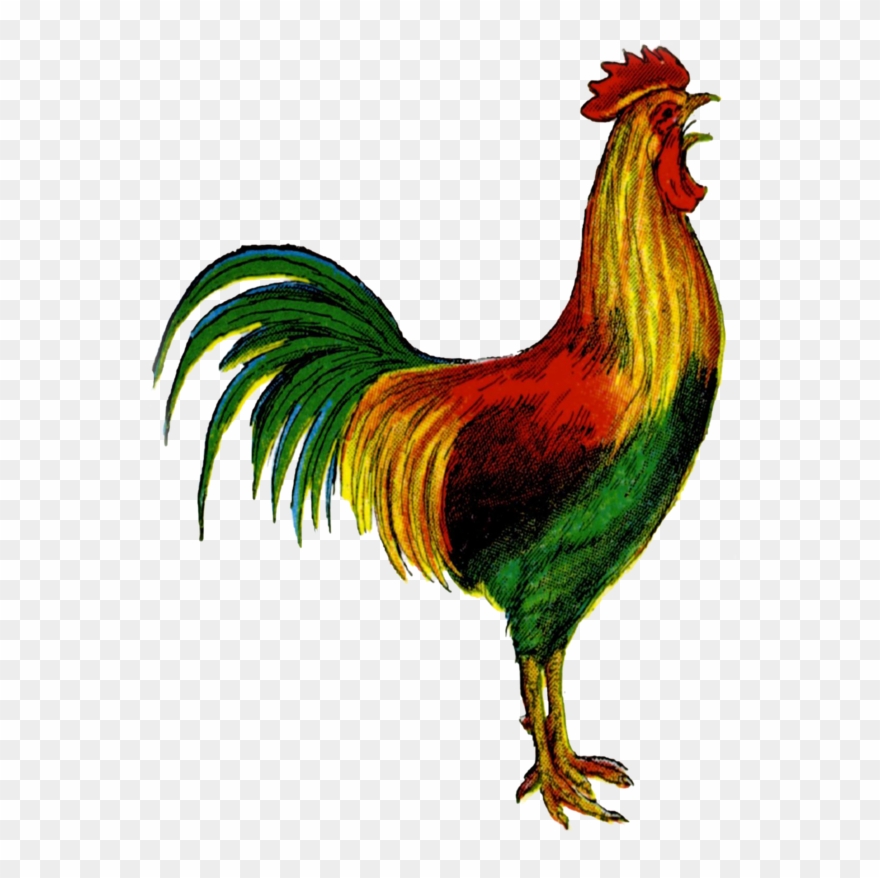 Clip Art Welsummer Clip Art Openclipart - Gallo En Punto De Cruz - Png Download