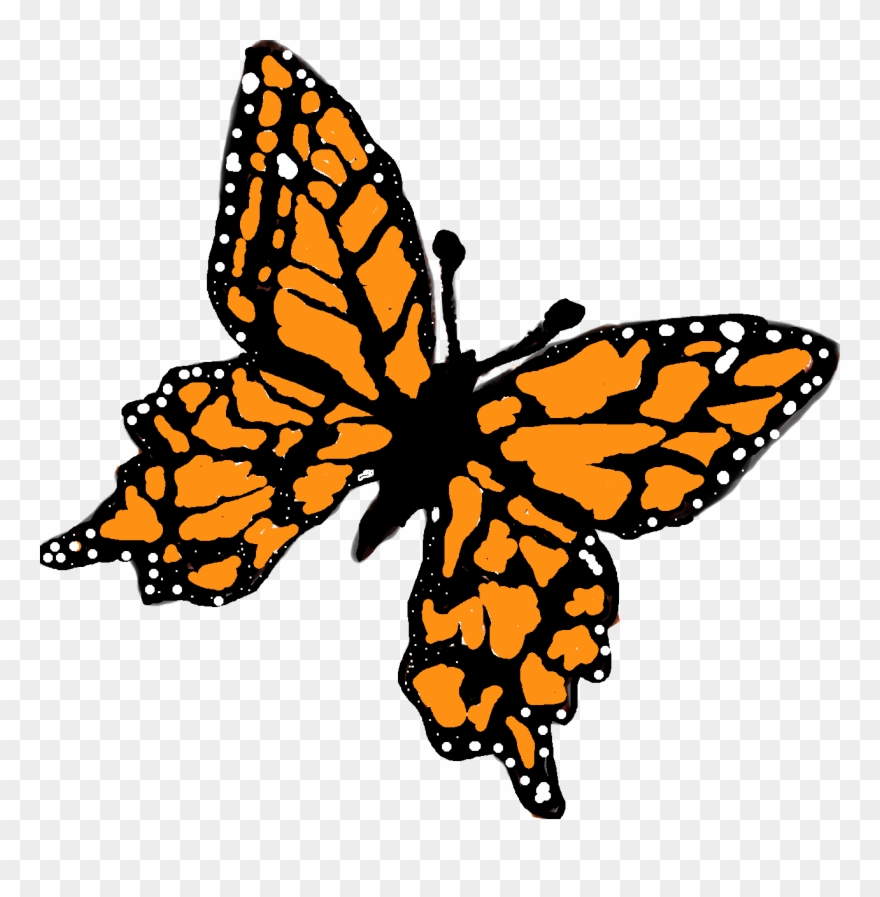 Butterfly Gardens Inc - Butterfly Gardening Clipart