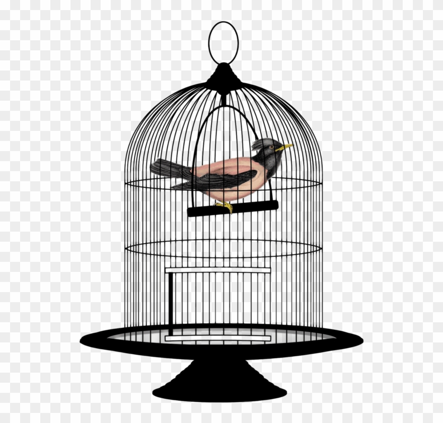 This Png File Is About Wires , Clipart , Cage , Mesh - Bird In A Cage Png Transparent Png