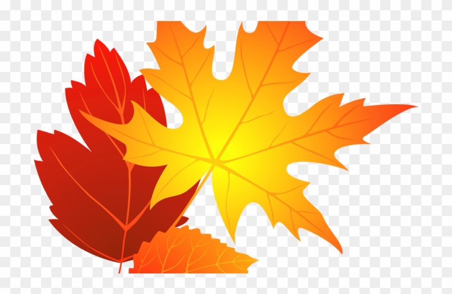 Flower Clipart Transparent Background - Autumn Leaves Clipart Png