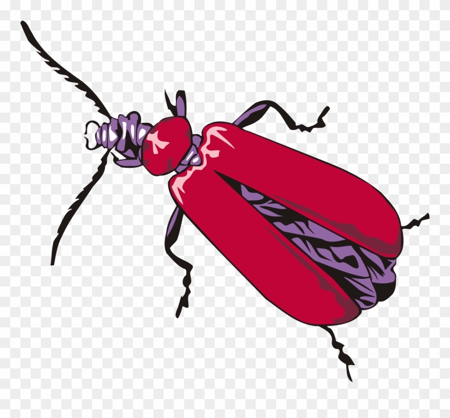Big Image - Insects Drawing Clipart