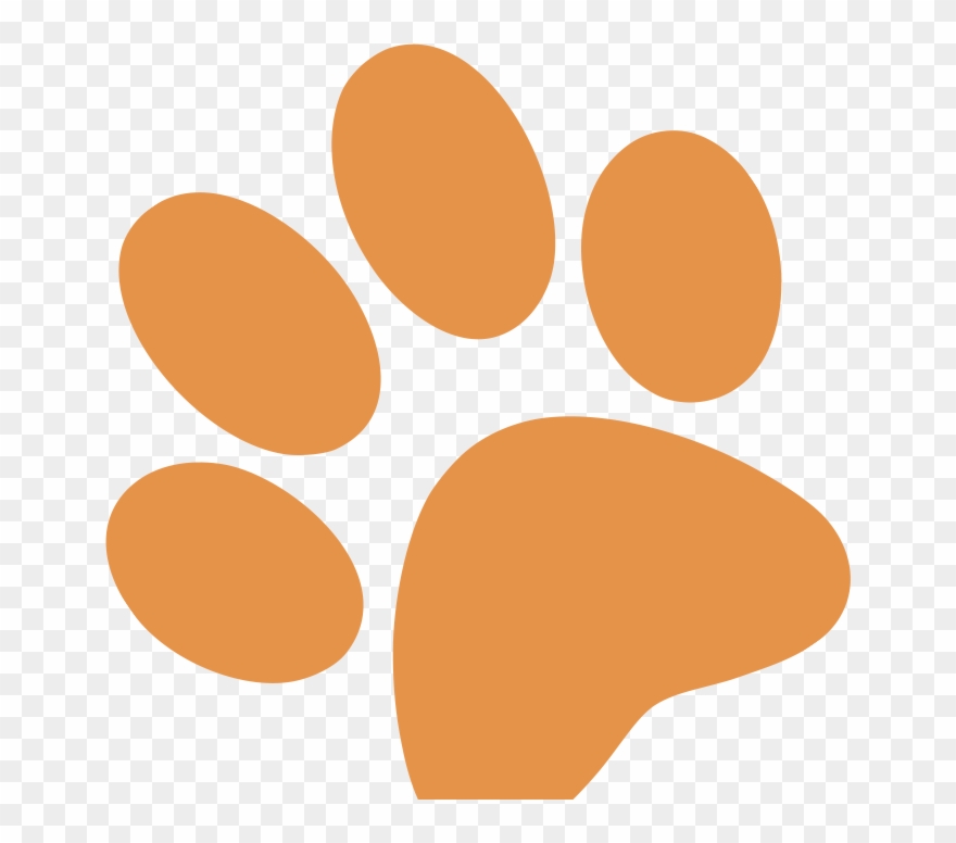 The Best Experience & Groom Possible For Pet - Dog Clipart