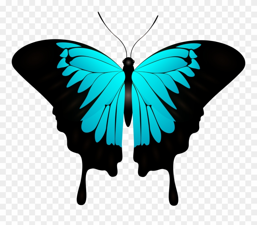 Blue Butterfly Decorative Transparent Image Clipart
