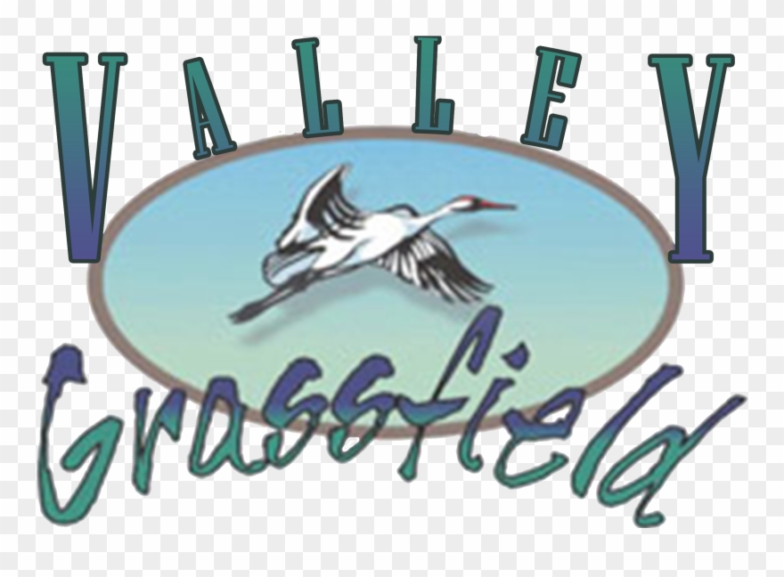 Freed To Love: Healing For Catholic Women Clipart