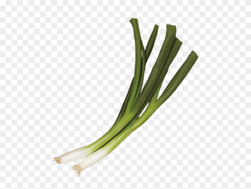 2 Unit - Leek Clipart