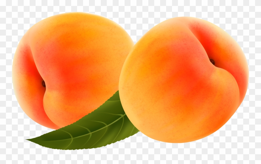 Фотографии В Альбоме «ягоды,овощи , Фрукты», Автор - Скачать Картинки Фрукти Абрикос Clipart