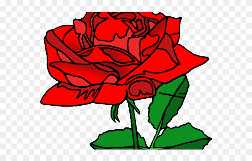 Red Rose Clipart American Beauty - State Flower Washington Dc - Png Download