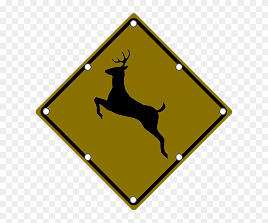 Ts40 Flashing Deer Crossing Sign Night - Rainbow Springs Kiwi Wildlife Park Clipart