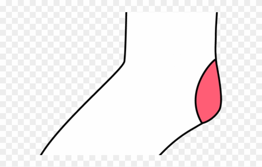 Socks Clipart Same Sock - Illustration - Png Download