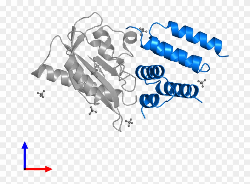 <div Class='caption-body'>pdb Entry 5efw Contains 2 - Graphic Design Clipart