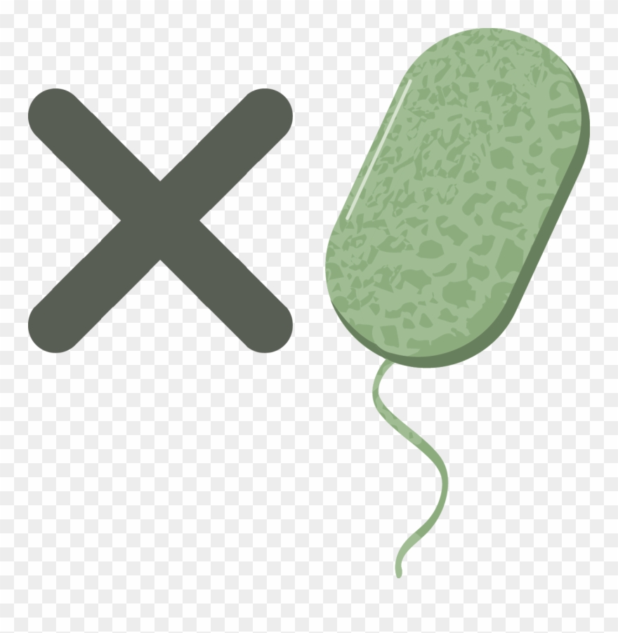 In The Settings Of Most Browsers, Graphics Can Be Turned - Correct And Wrong Clipart