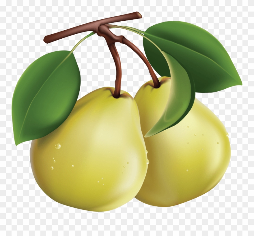 Free Png Pear Png Images Transparent - Clipart Pears