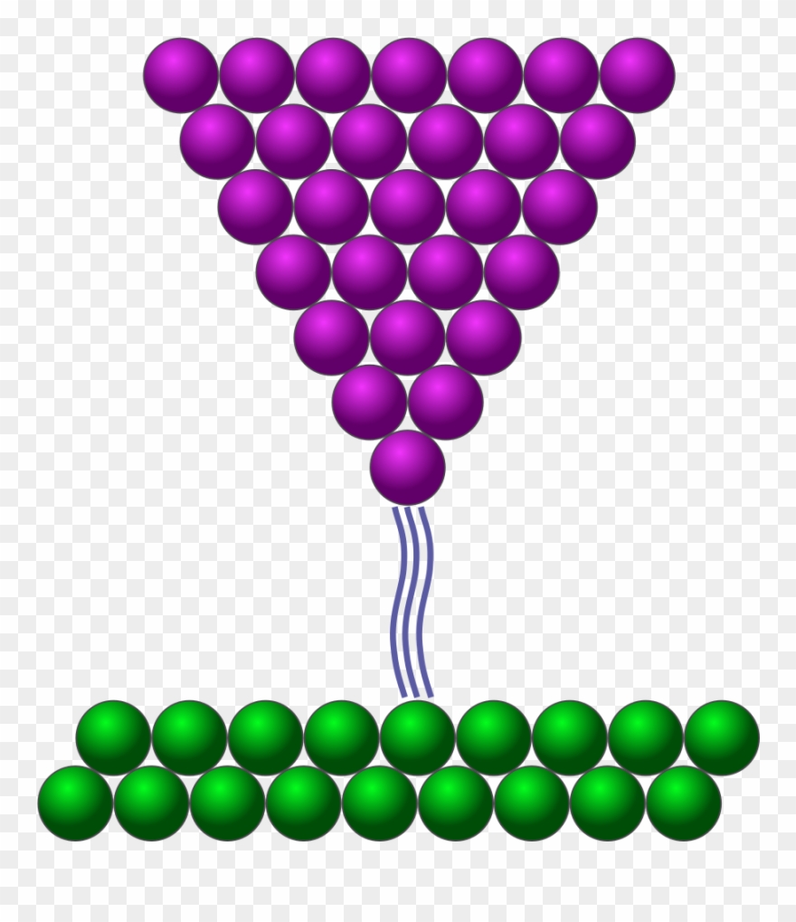 Scanning Tunneling Microscope Clipart