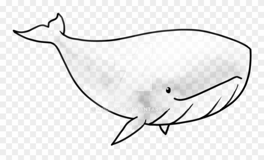 Drawn Dolphines Whale - Transparent Whale Clipart