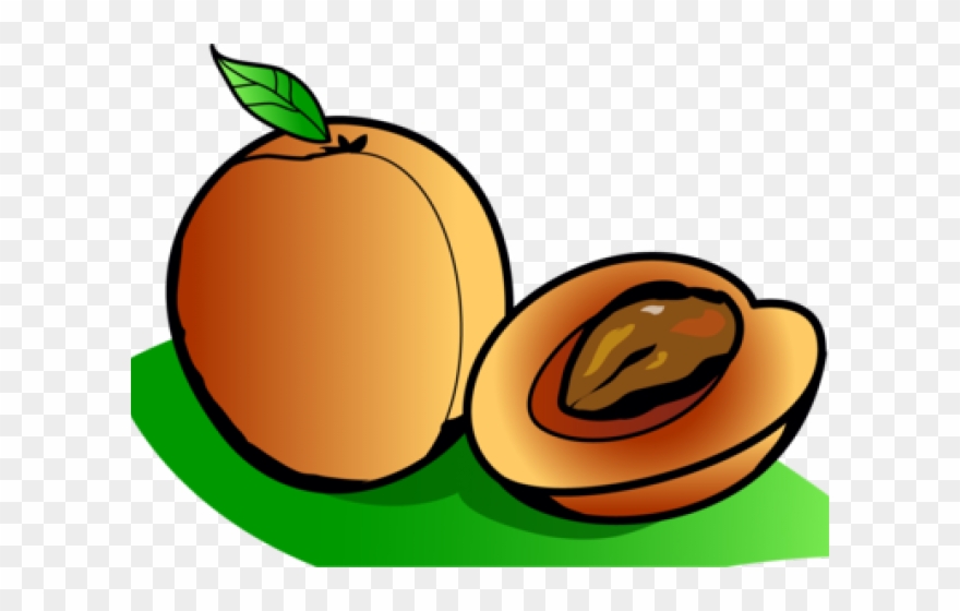 Apricot Clipart - Png Download