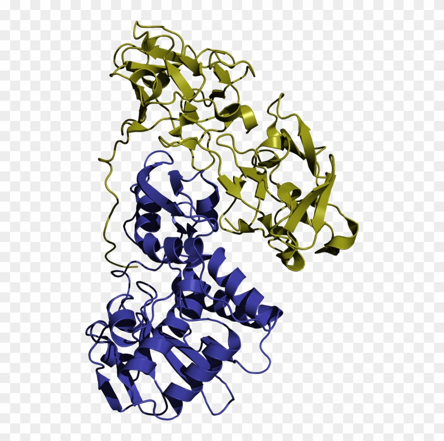 A Teenager In Florida Was Arrested On January 18 After - Estructura De La Abrina Clipart