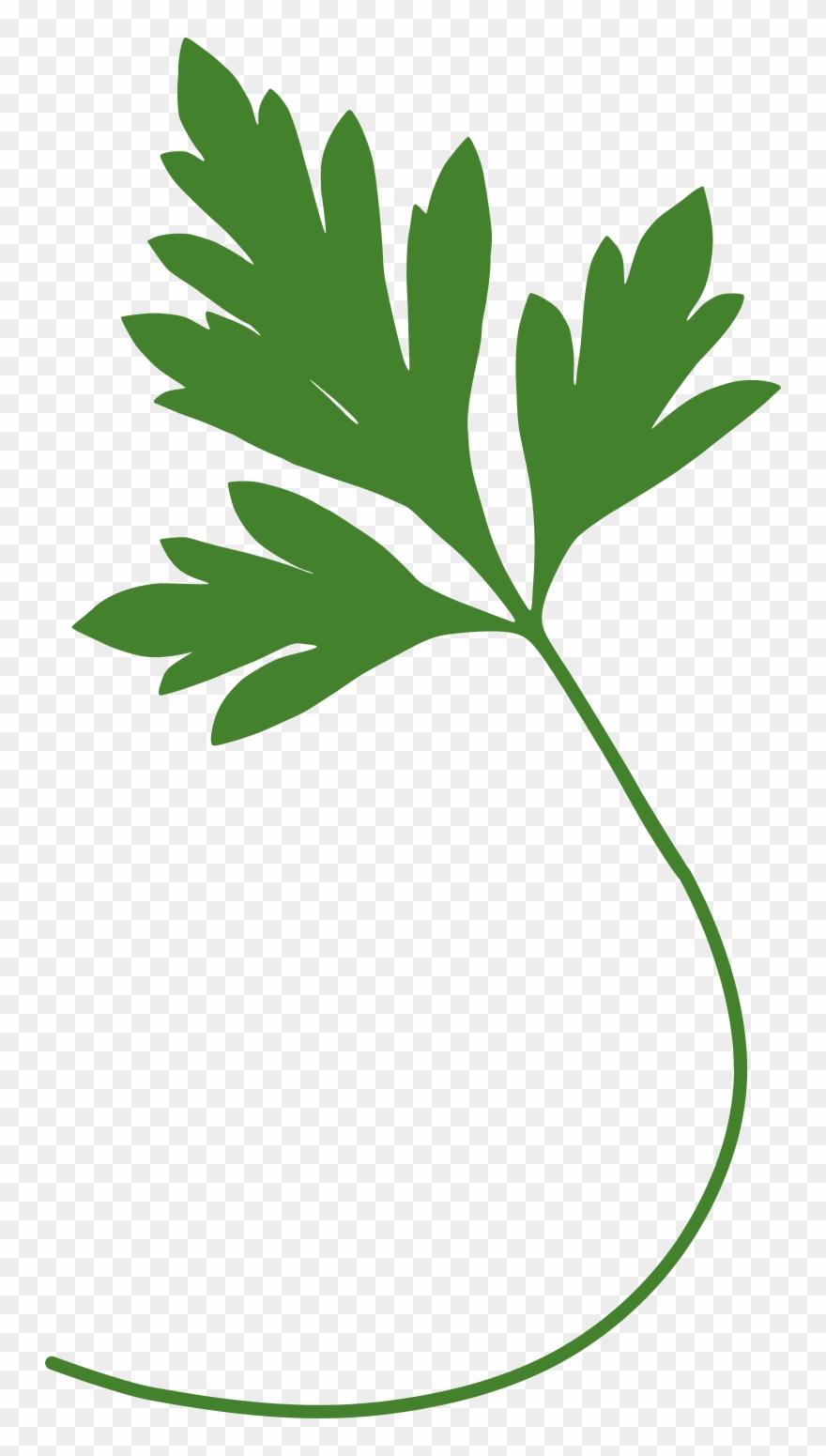 Fruit Clipart